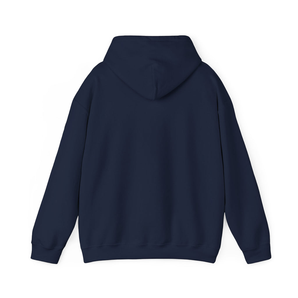 VYKN™ Distressed Embroidered Hoodie – Gildan