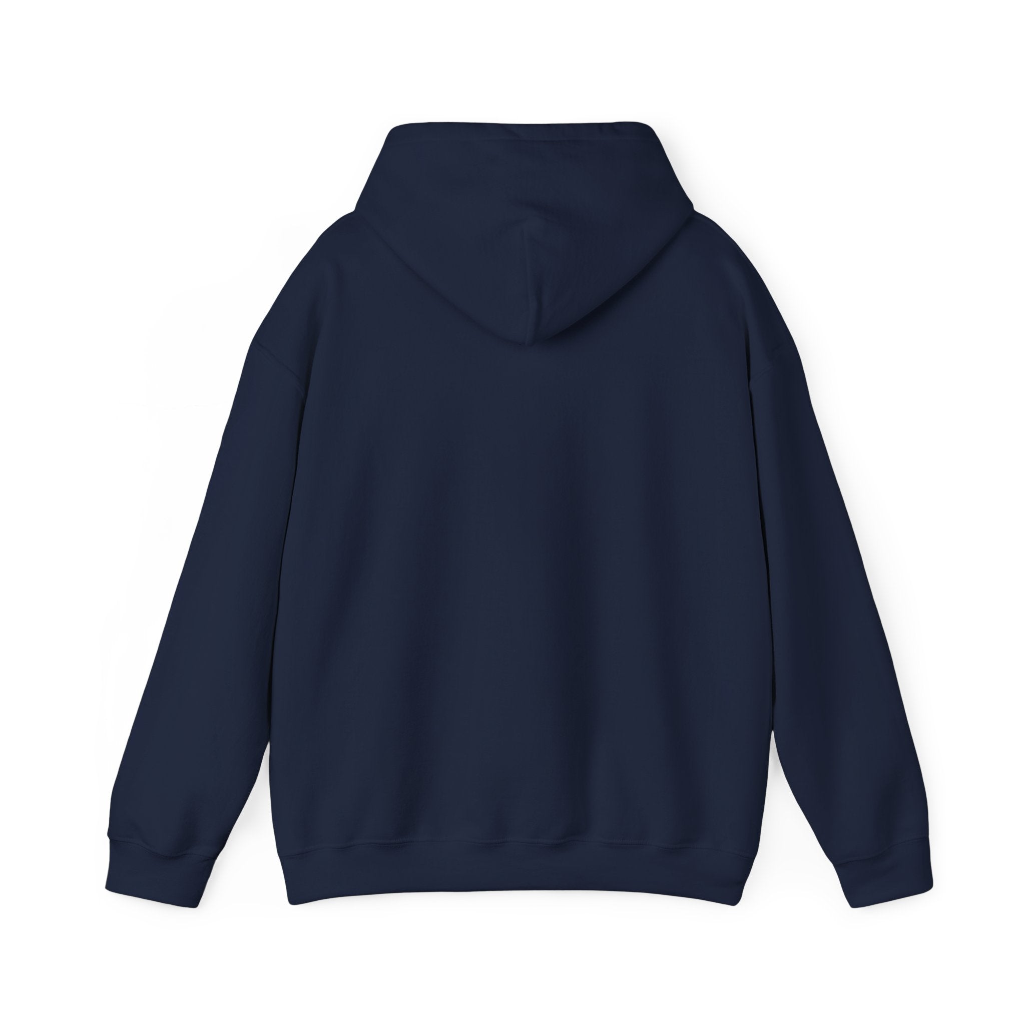 VYKN™ Distressed Embroidered Hoodie – Gildan