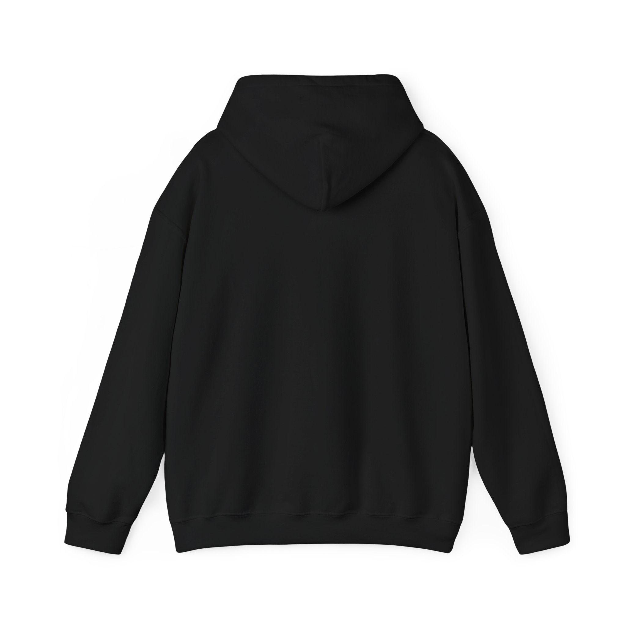 VYKN™ Distressed Embroidered Hoodie – Gildan