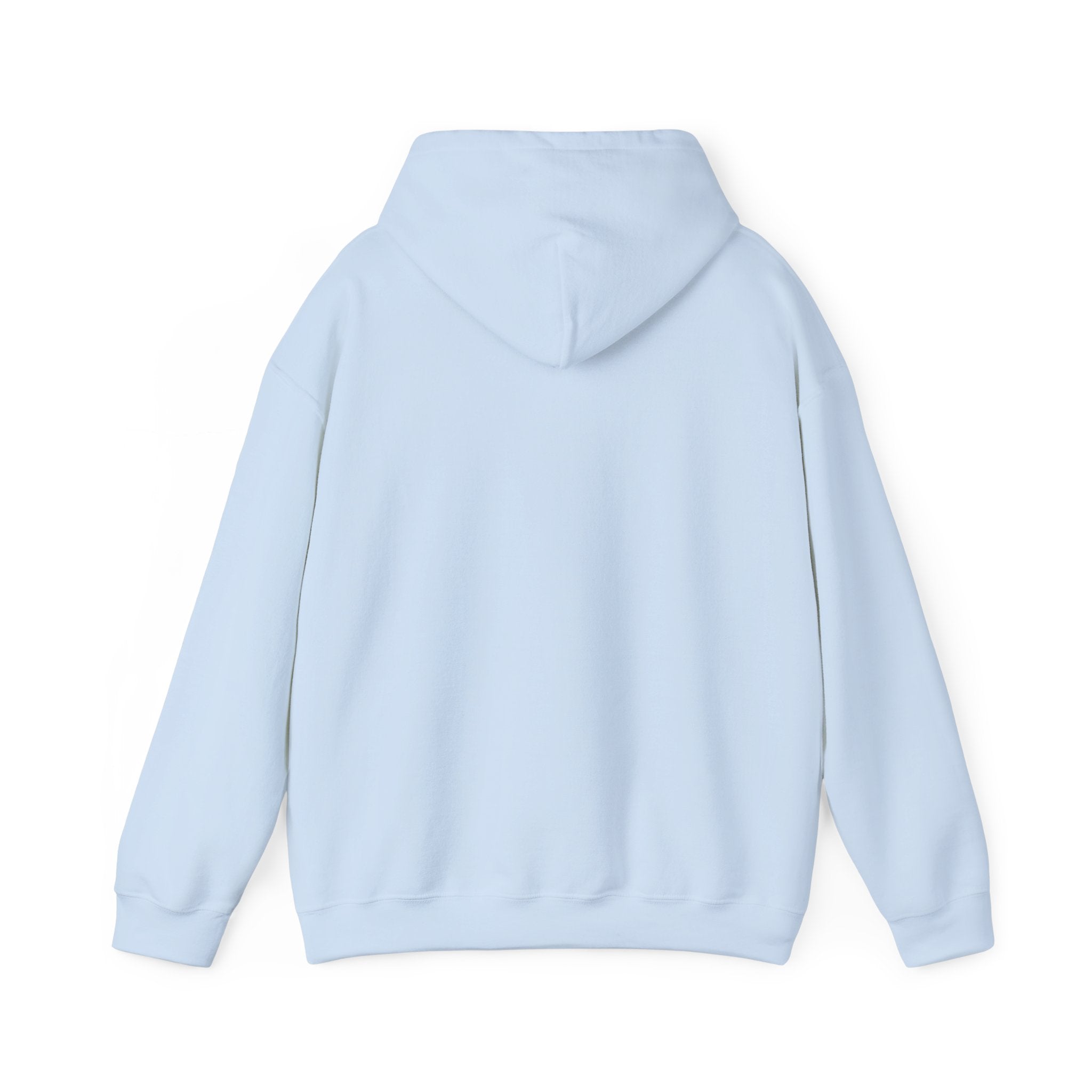 VYKN™ Distressed Embroidered Hoodie – Gildan