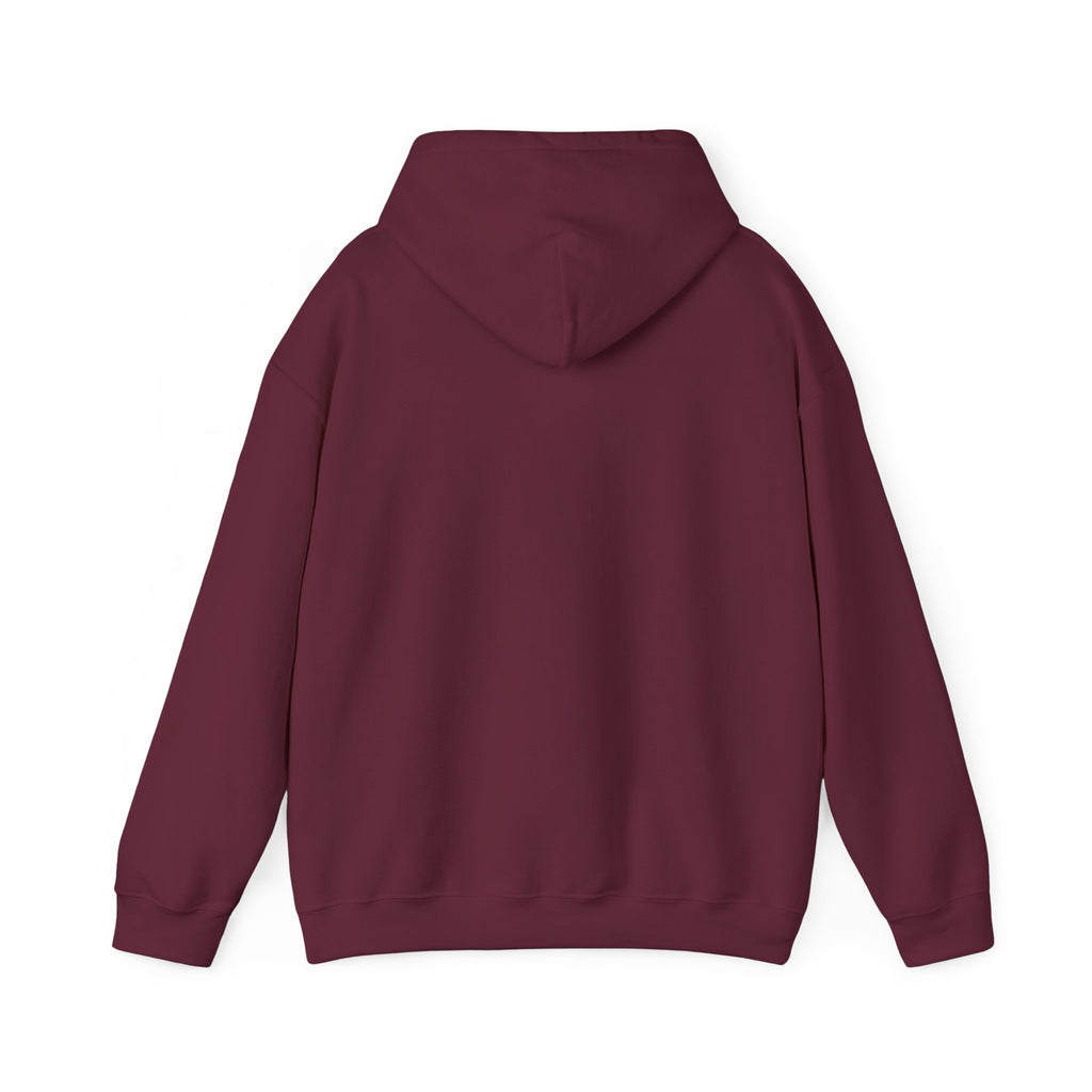VYKN™ Distressed Embroidered Hoodie – Gildan