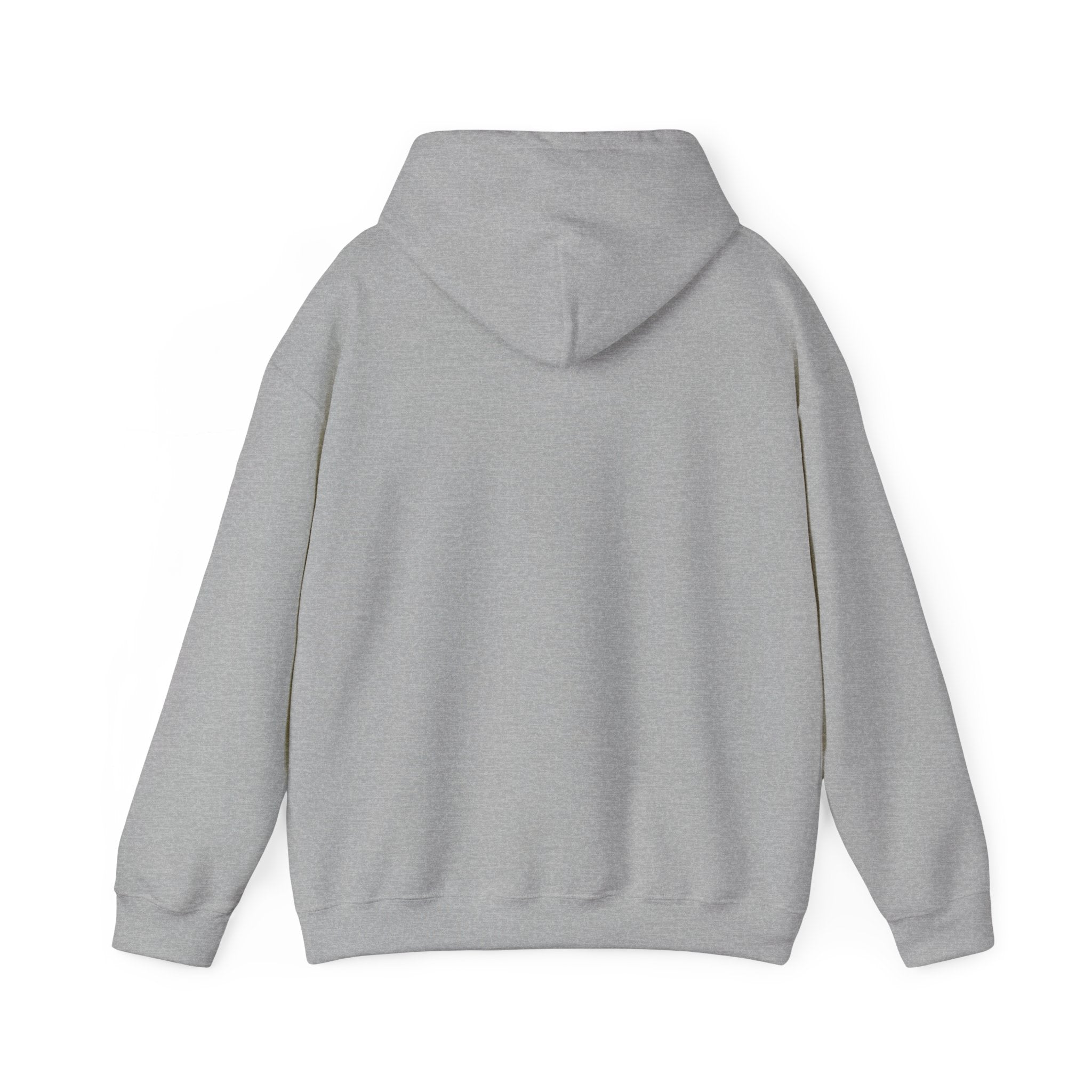 VYKN™ Distressed Embroidered Hoodie – Gildan