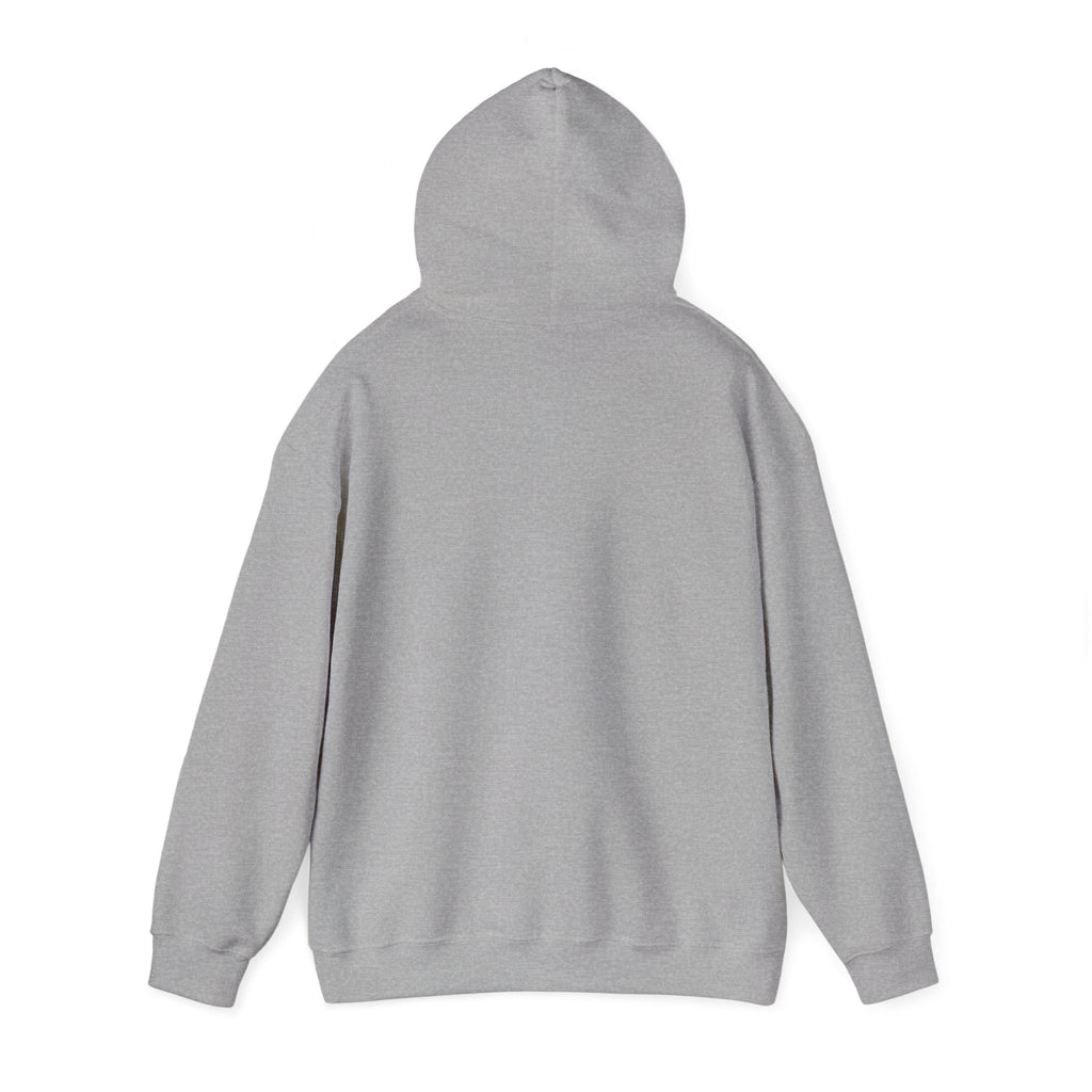 VYKN™ Distressed Embroidered Hoodie – Gildan