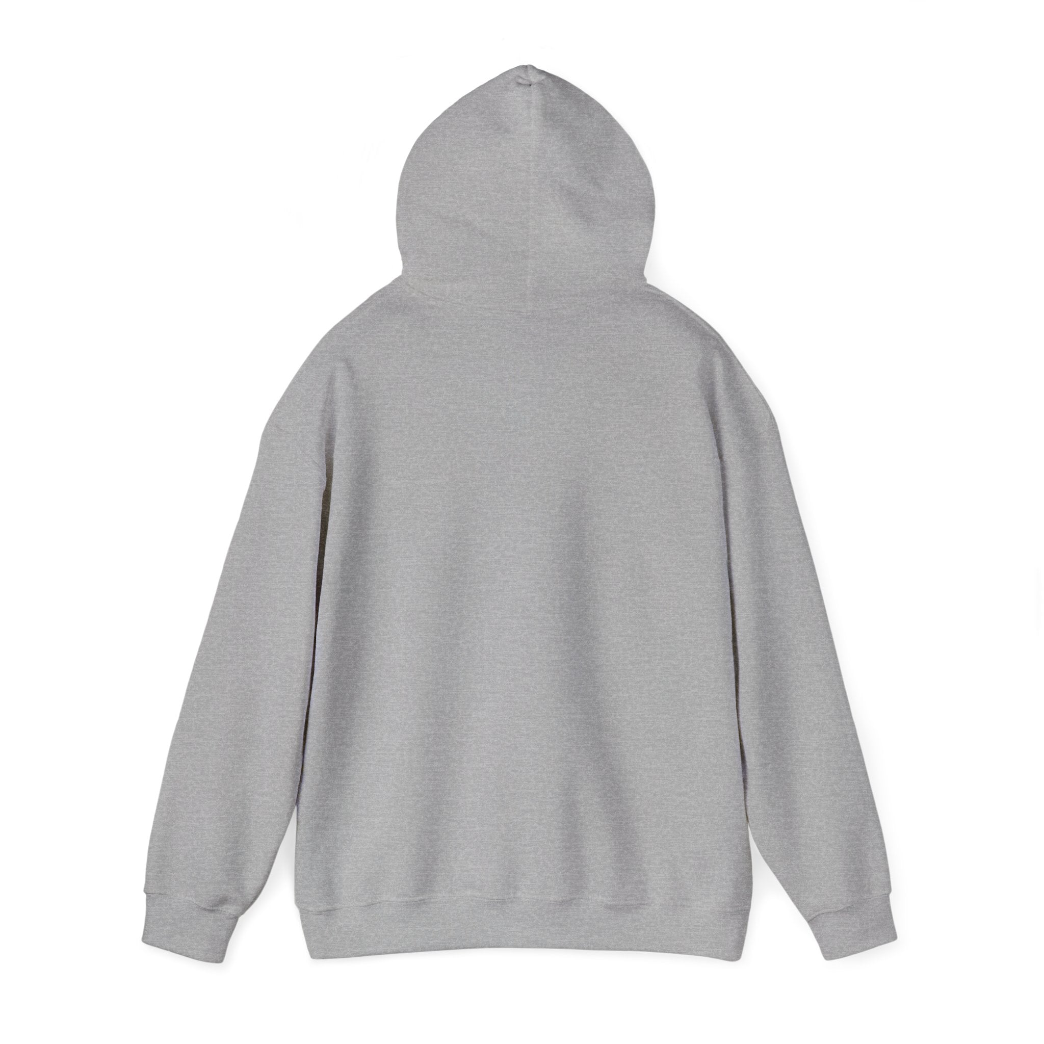 VYKN™ Distressed Embroidered Hoodie – Gildan