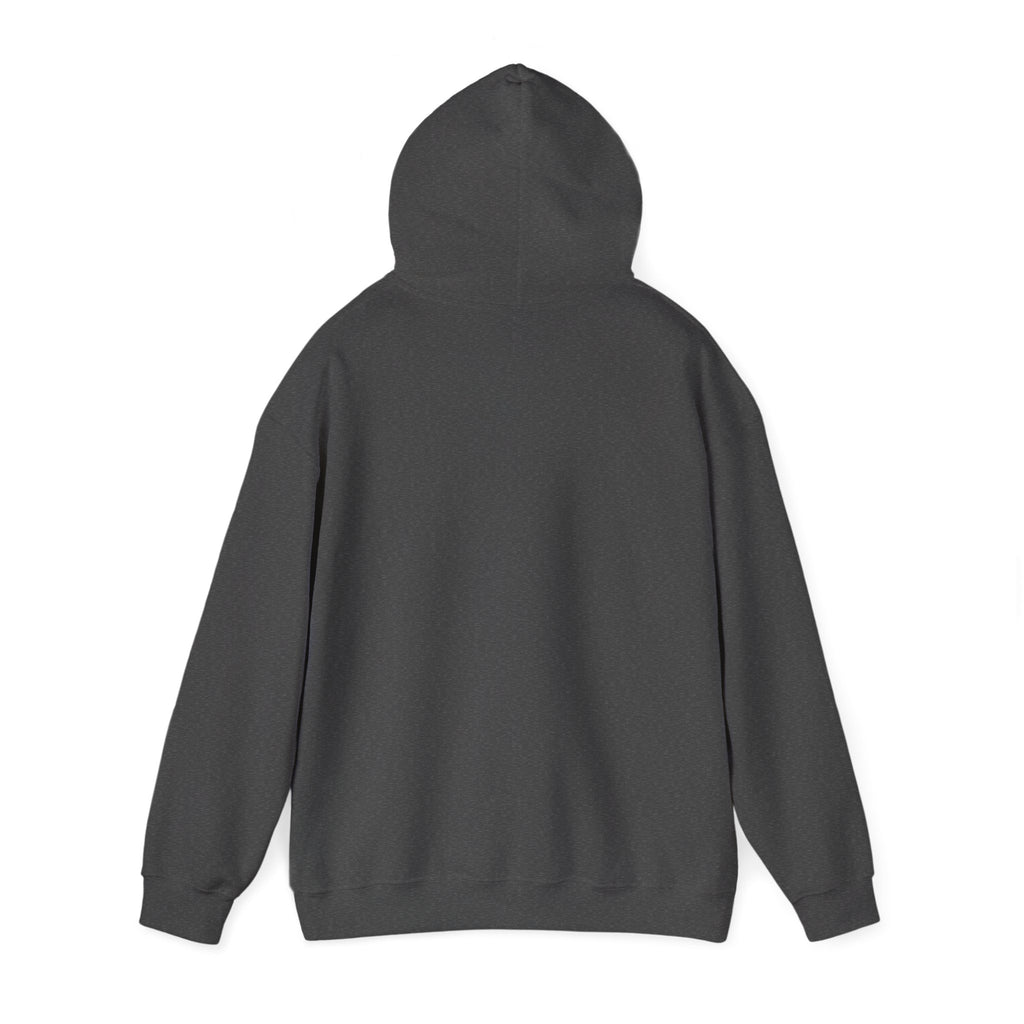 VYKN™ Distressed Embroidered Hoodie – Gildan