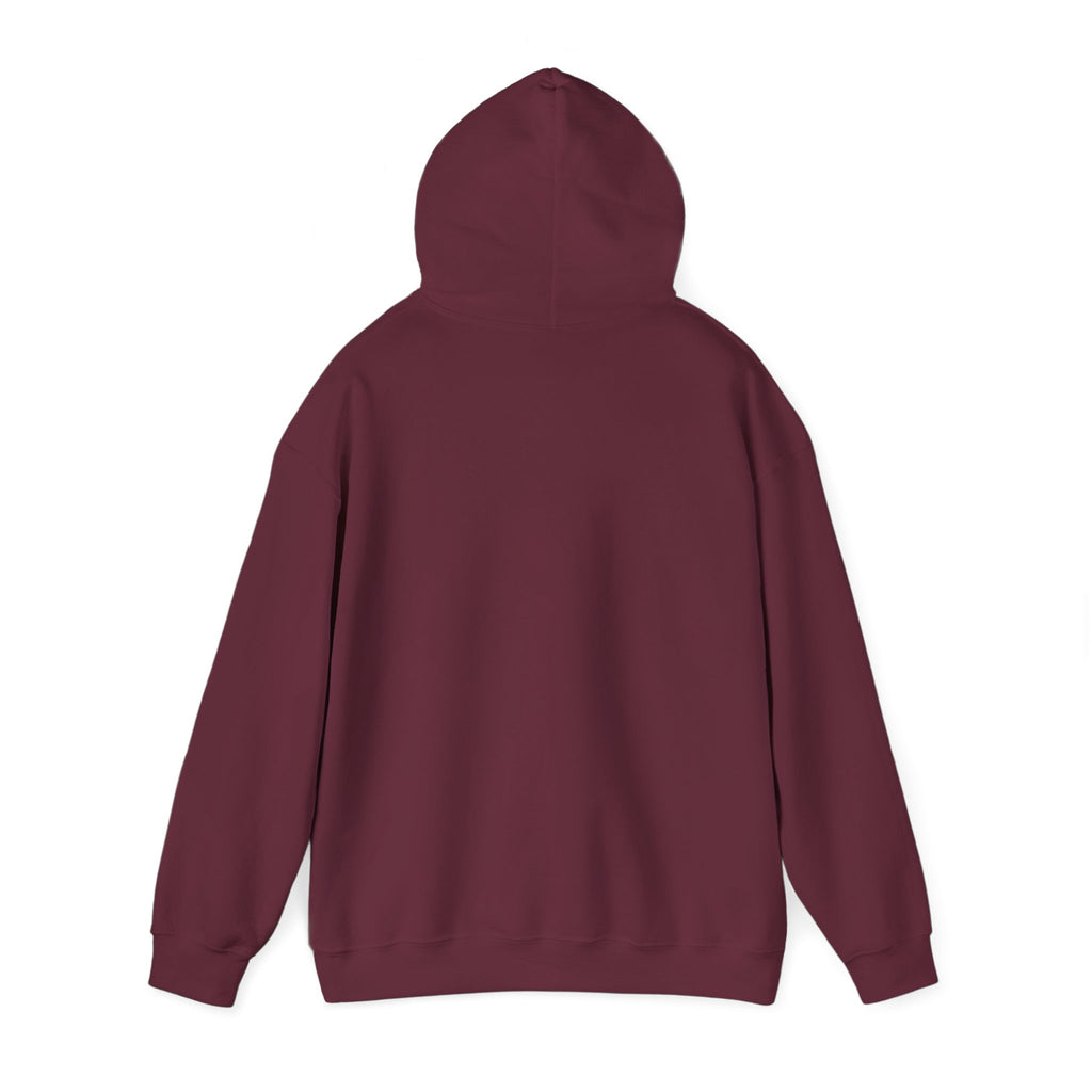 VYKN™ Distressed Embroidered Hoodie – Gildan