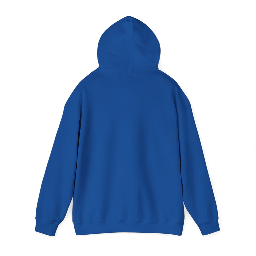VYKN™ Distressed Embroidered Hoodie – Gildan