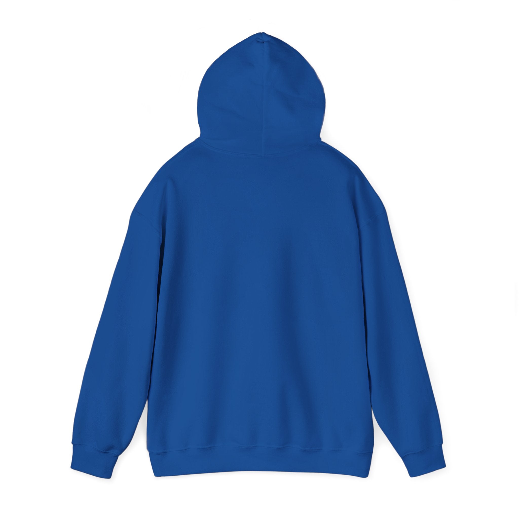 VYKN™ Distressed Embroidered Hoodie – Gildan