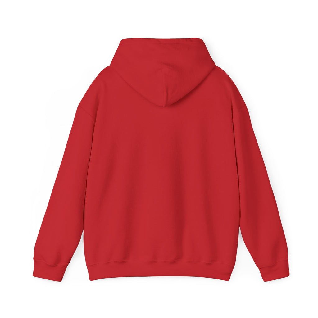 VYKN™ Distressed Embroidered Hoodie – Gildan