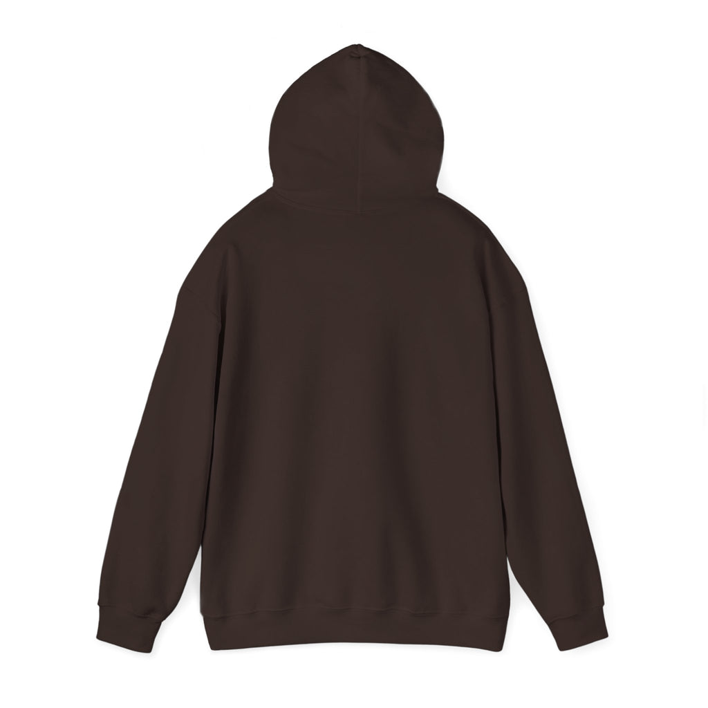 VYKN™ Distressed Embroidered Hoodie – Gildan