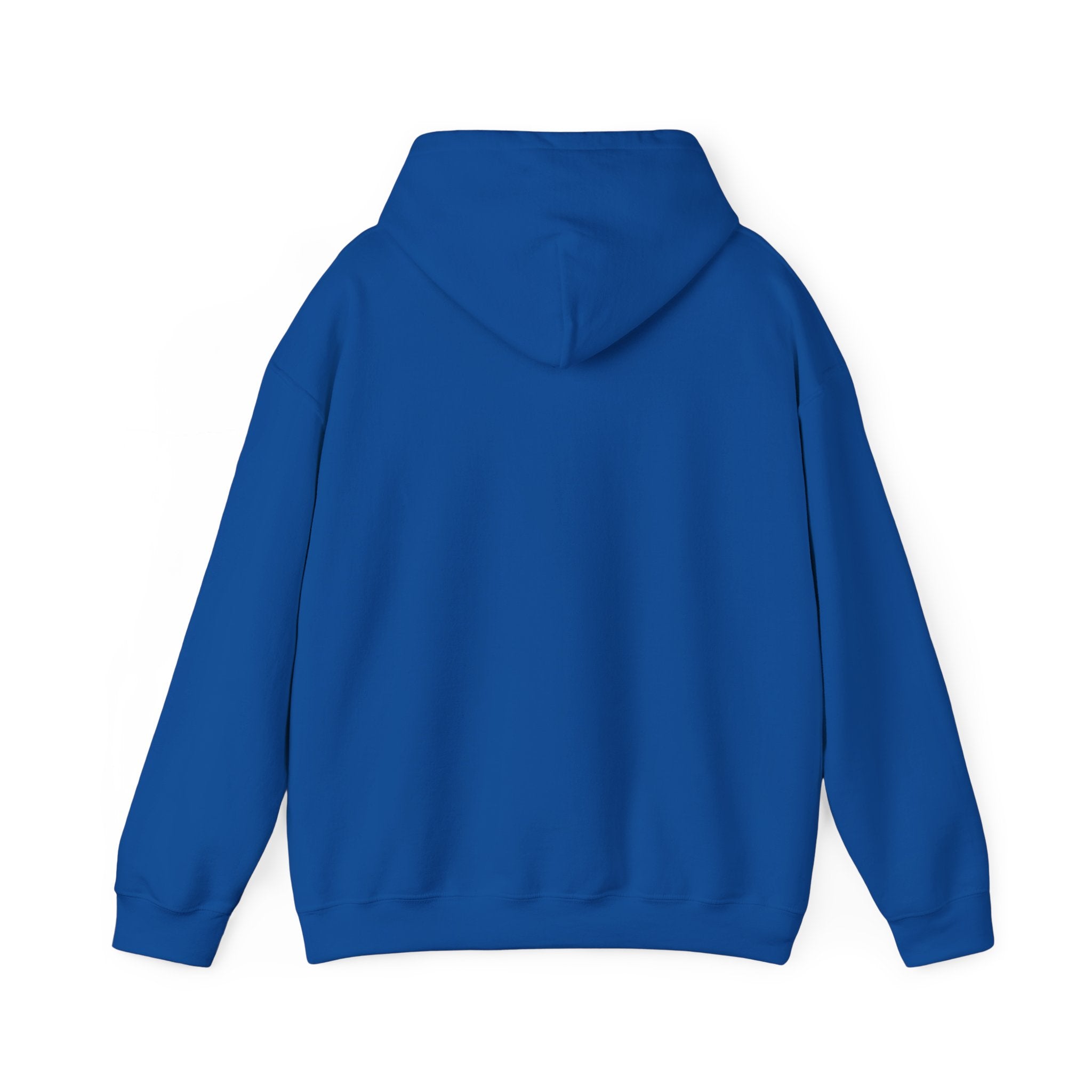 VYKN™ Distressed Embroidered Hoodie – Gildan