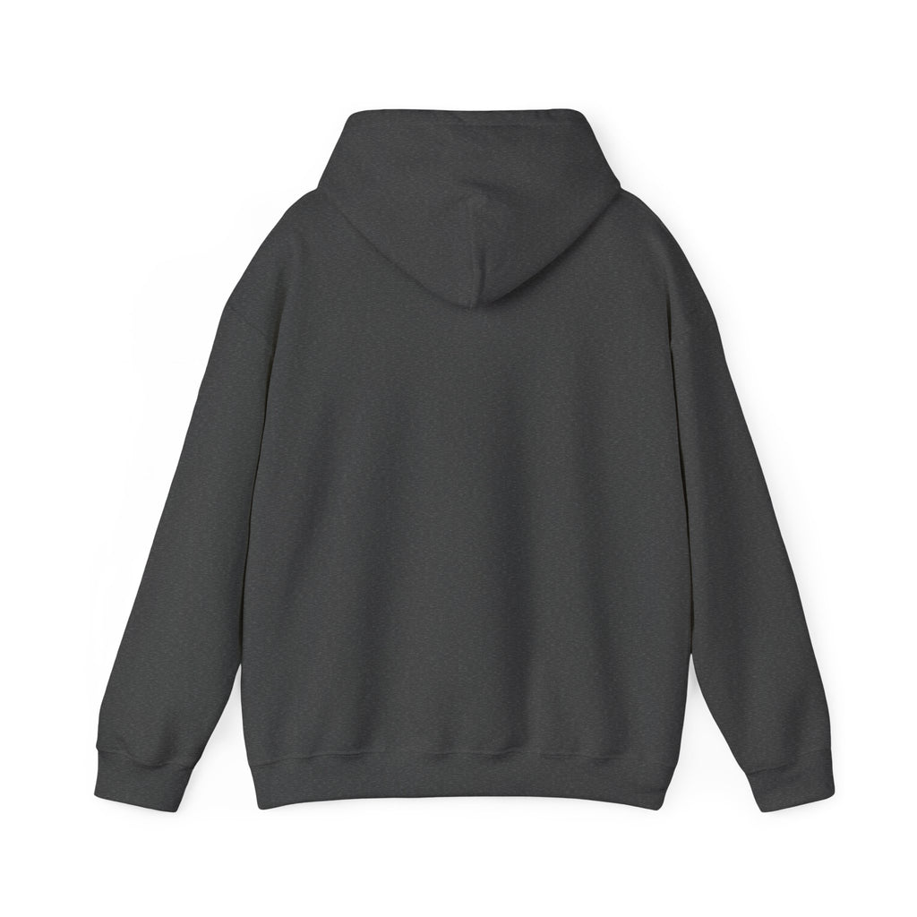 VYKN™ Distressed Embroidered Hoodie – Gildan
