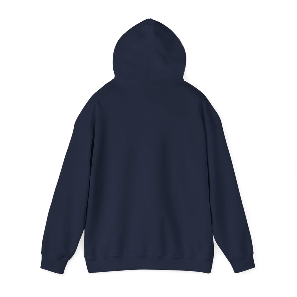 VYKN™ Distressed Embroidered Hoodie – Gildan