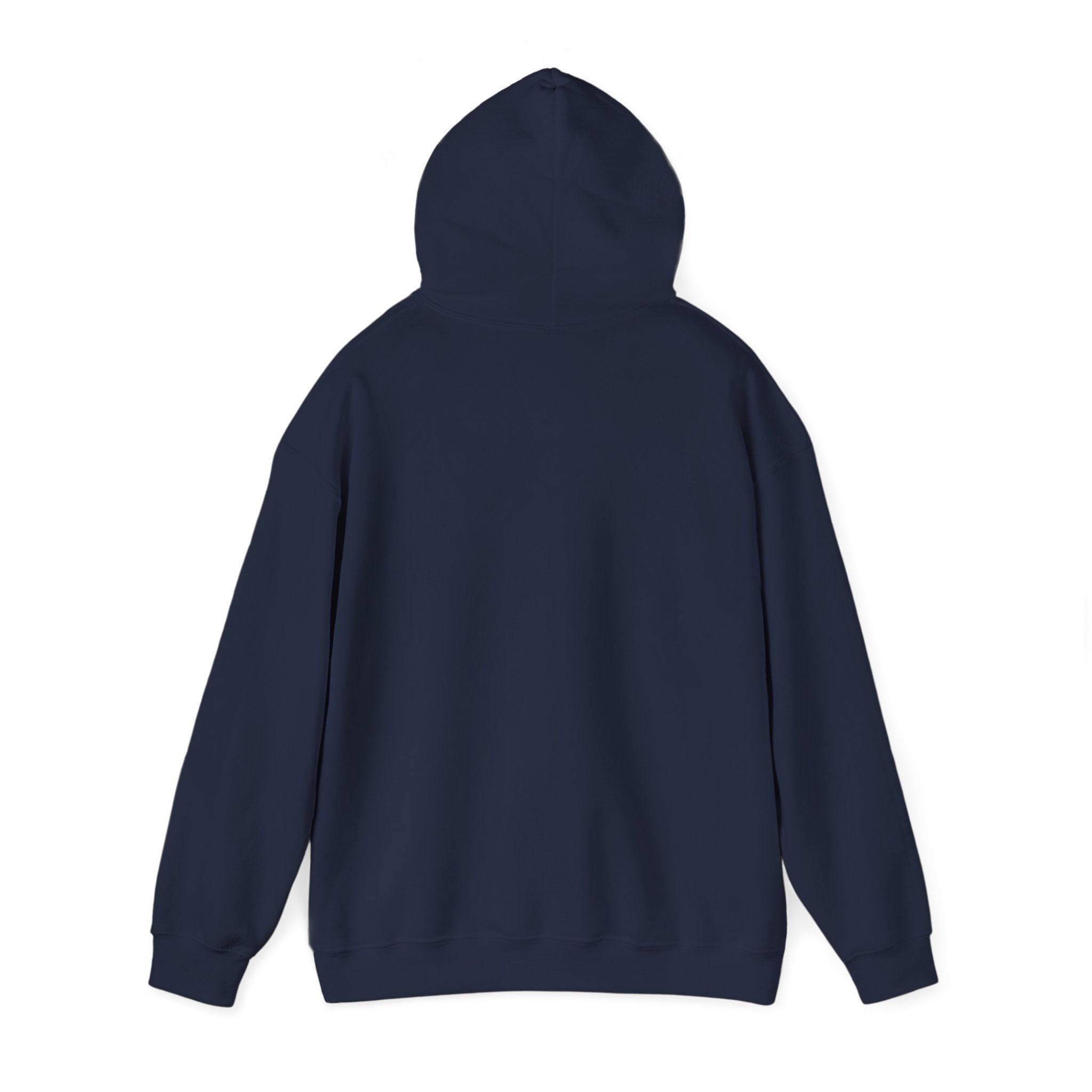 VYKN™ Distressed Embroidered Hoodie – Gildan