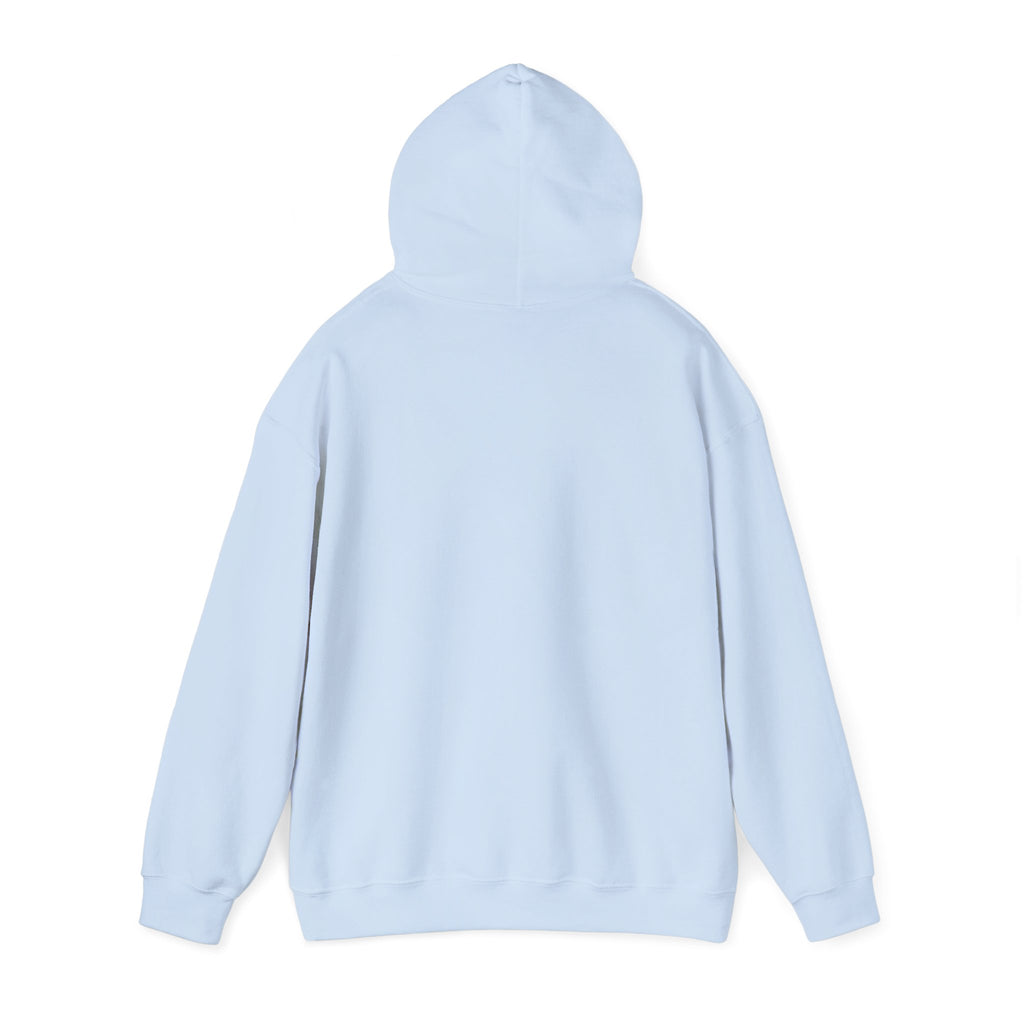 VYKN™ Distressed Embroidered Hoodie – Gildan