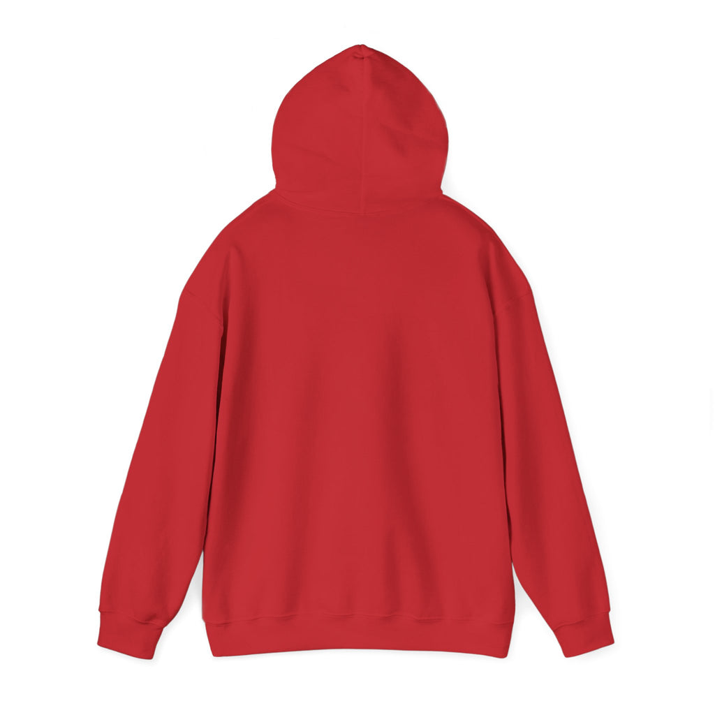 VYKN™ Distressed Embroidered Hoodie – Gildan
